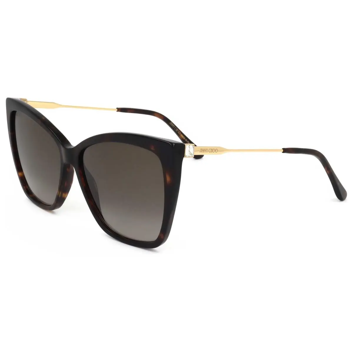 Jimmy Choo Women`s 58mm Havana Sunglasses SEBA-S-086-58