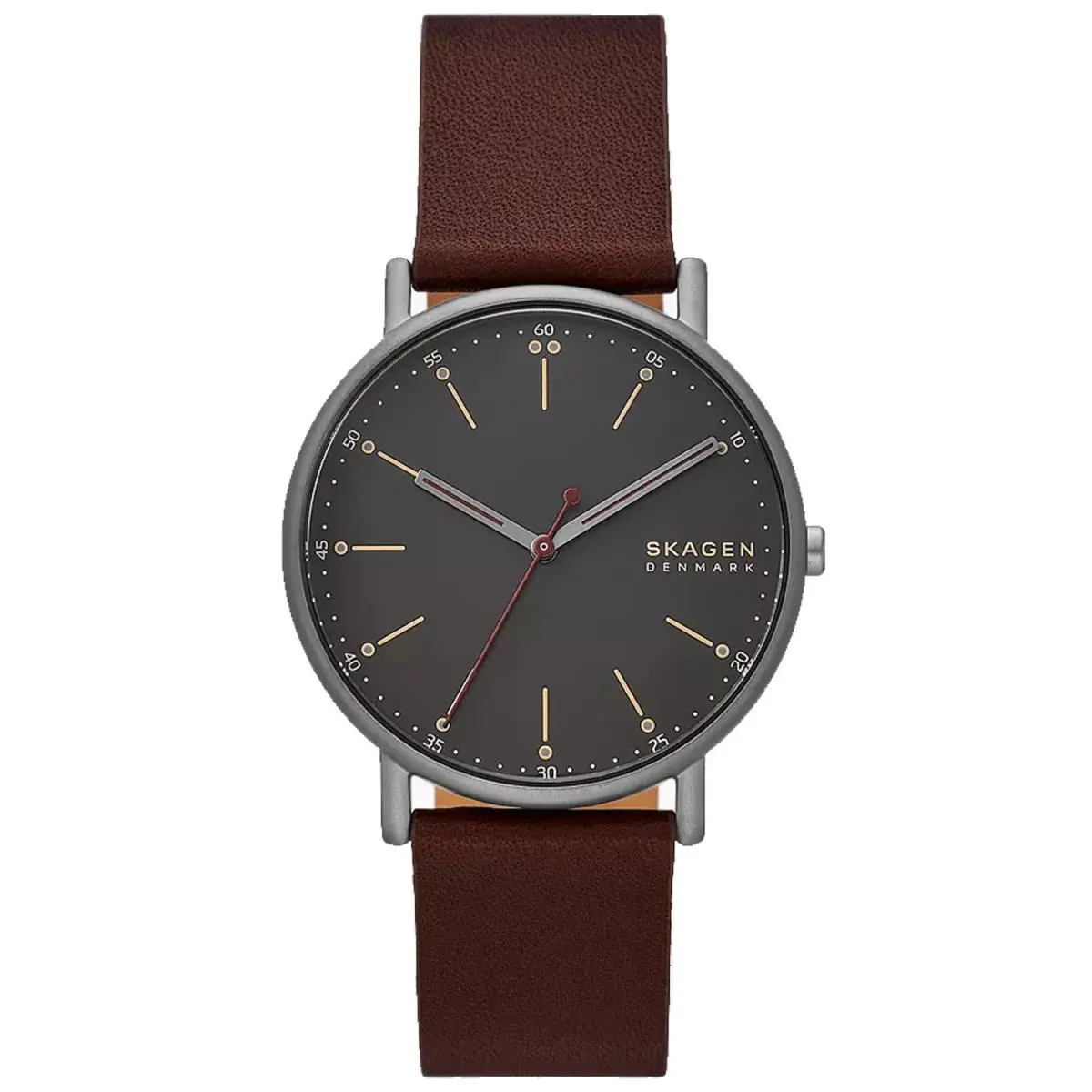Skagen Mens Signatur Watch