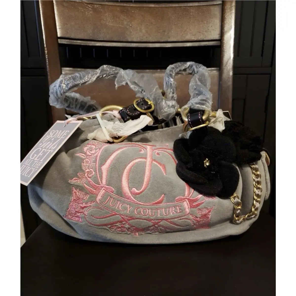 Juicy Couture Purse