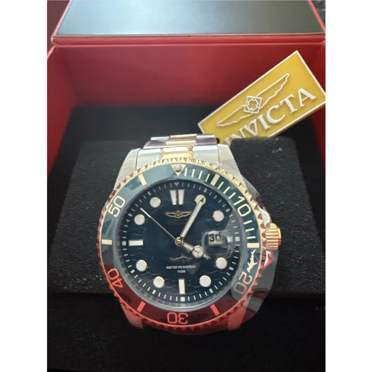Invicta Men`s Pro Diver