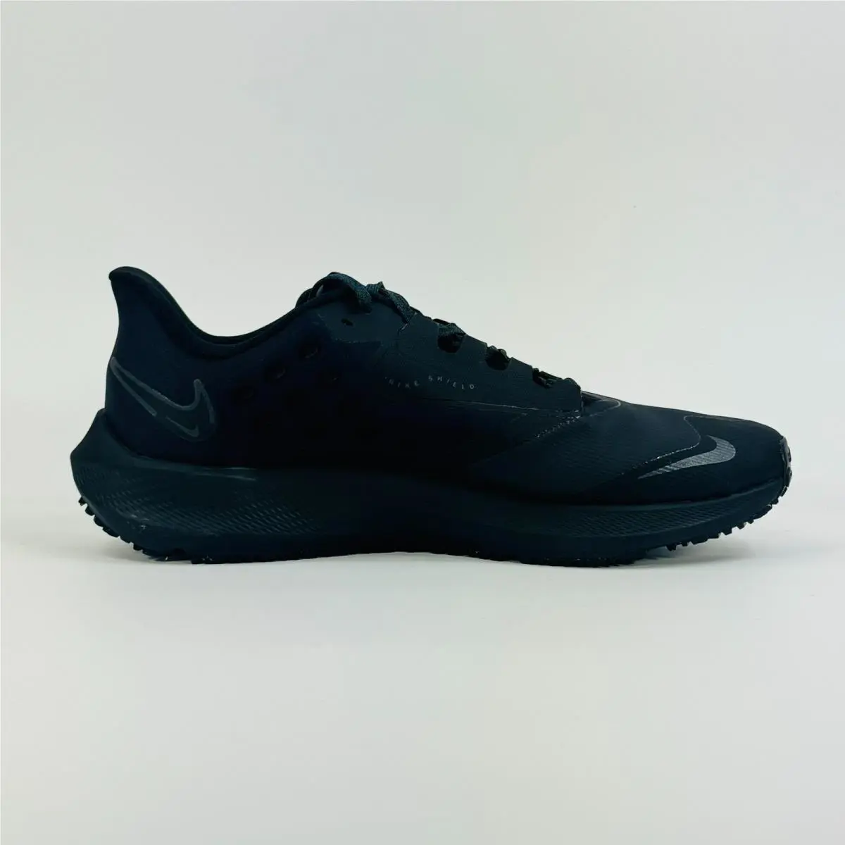 Nike shoes - Nike Air Zoom Pegasus - Air Zoom Pegasus - DO7625-001 - Black 1