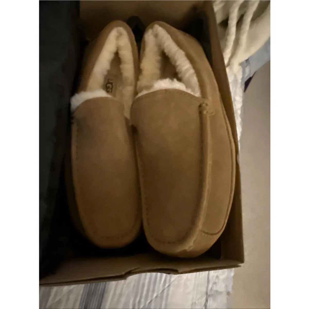 UGG shoes - 1101110-CHE - 1101110-219-07 US - Brown 2
