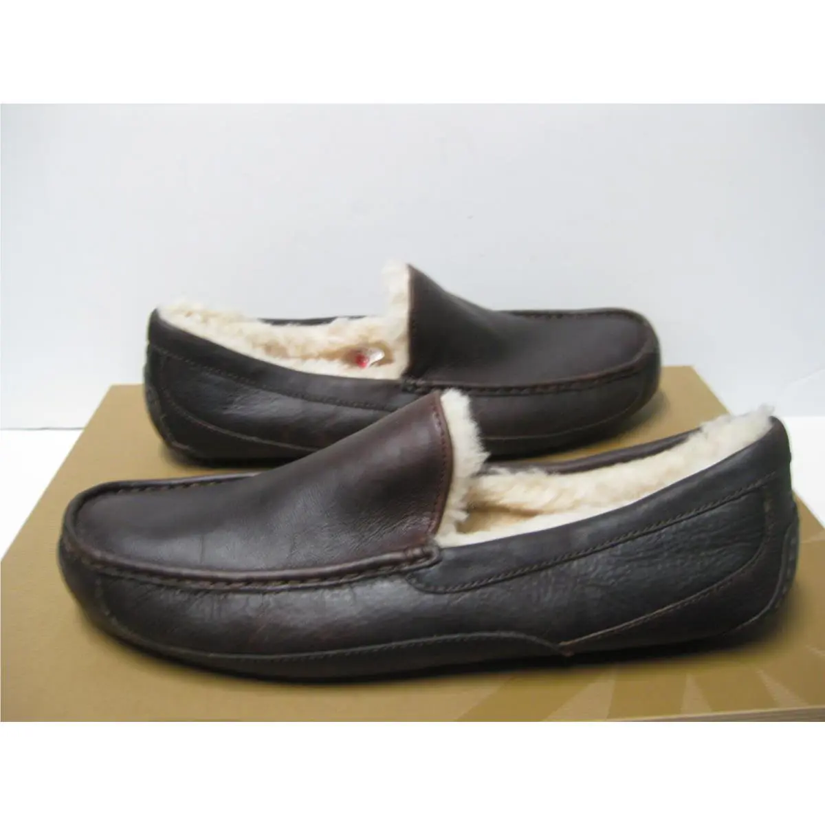 UGG shoes - ASCOT - ASCOT 3
