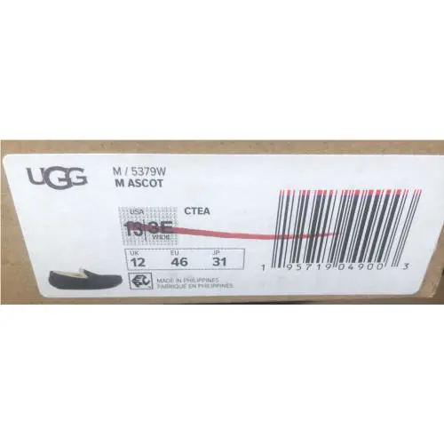UGG shoes - ASCOT - ASCOT 5