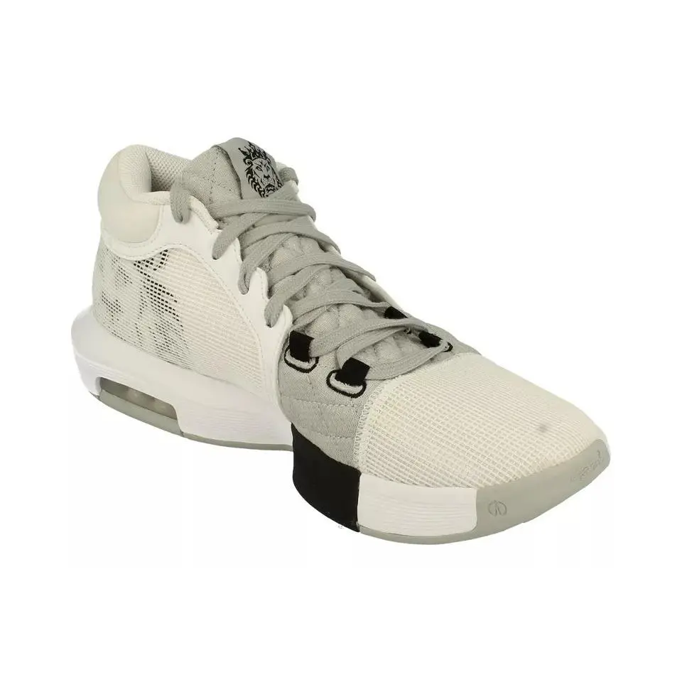 Nike shoes - Nike LeBron Witness - LeBron Witness - FB2239 100 - WHITE/BLACK LT SMOKE GREY 7