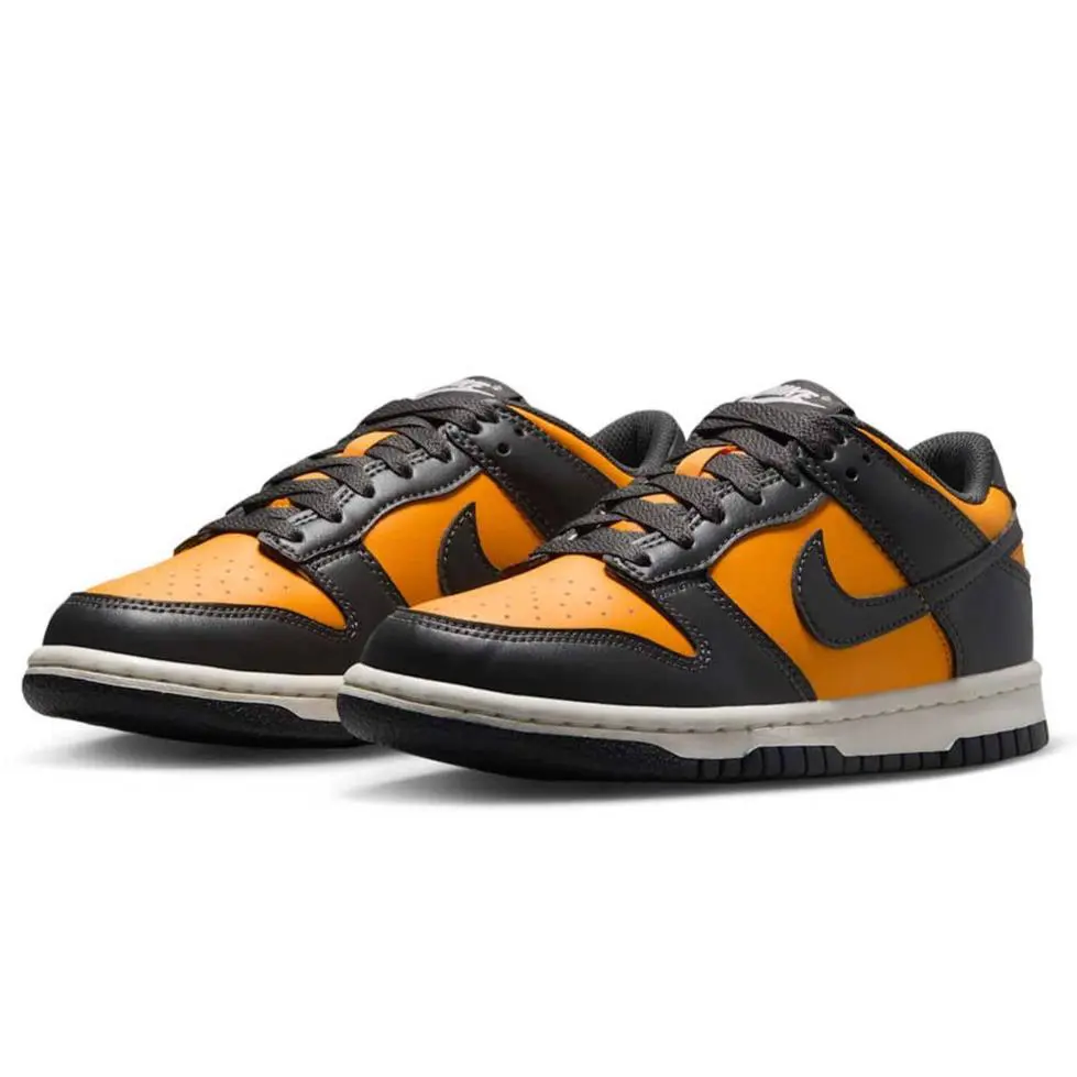 Nike Dunk Low GS Big Kids Sundial / Anthracite-sail FB9109 701 - SUNDIAL