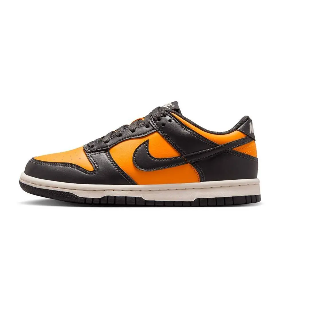 Nike shoes - Nike Dunk Low GS - Dunk Low - FB9109 701 - SUNDIAL 1