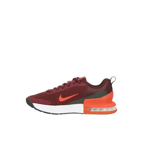 Nike shoes - Nike Air Max Alpha - Air Max Alpha - Gray, Fashion: All White 18