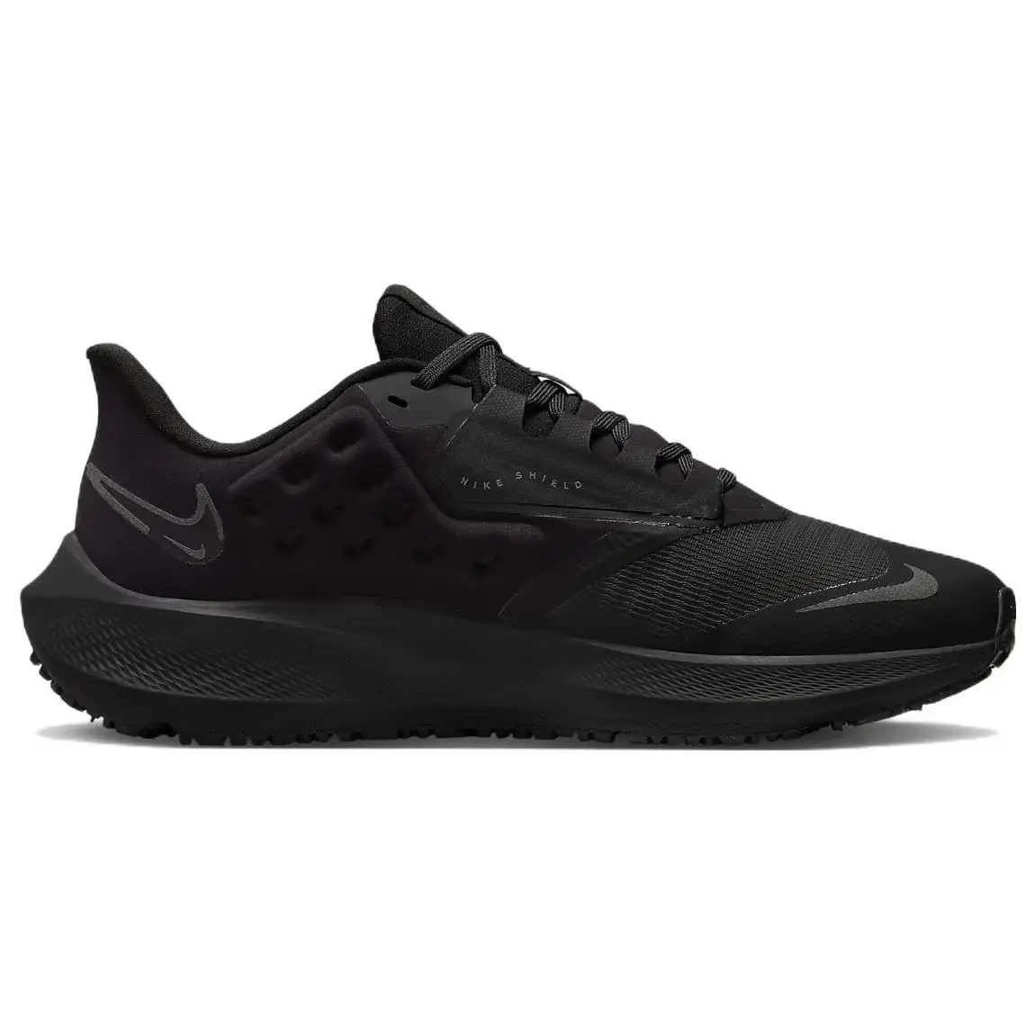 Nike shoes - Nike Air Zoom Pegasus - Air Zoom Pegasus - DO7626-001 - Black 10