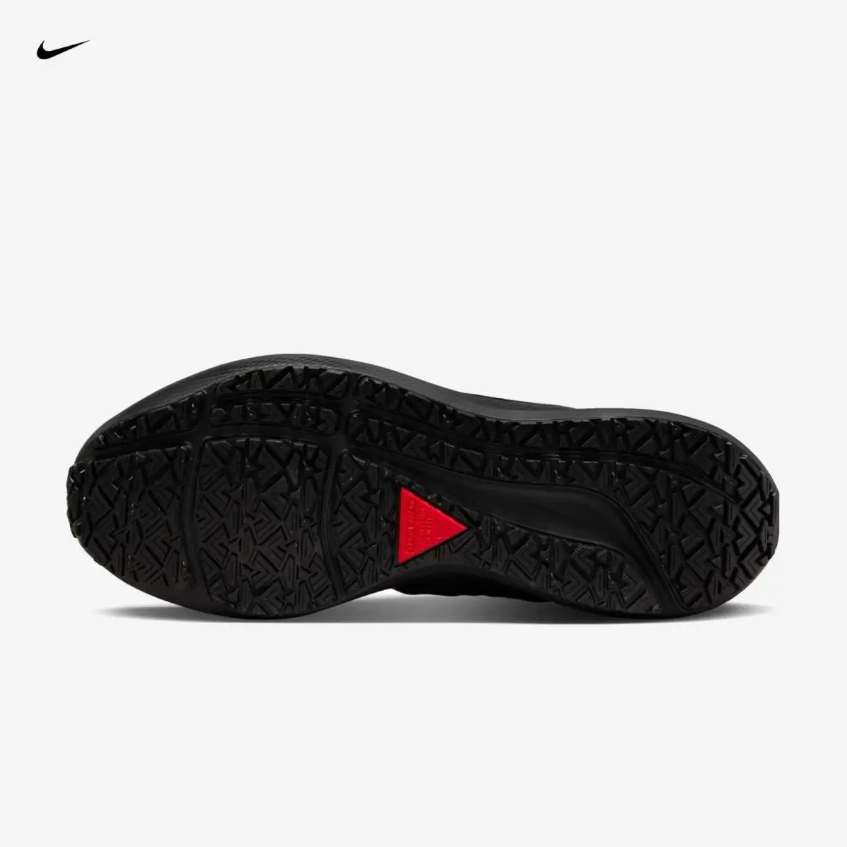 Nike shoes - Nike Air Zoom Pegasus 39 Shield - DO7626-001 - Black (UPC: 196151819216) 4