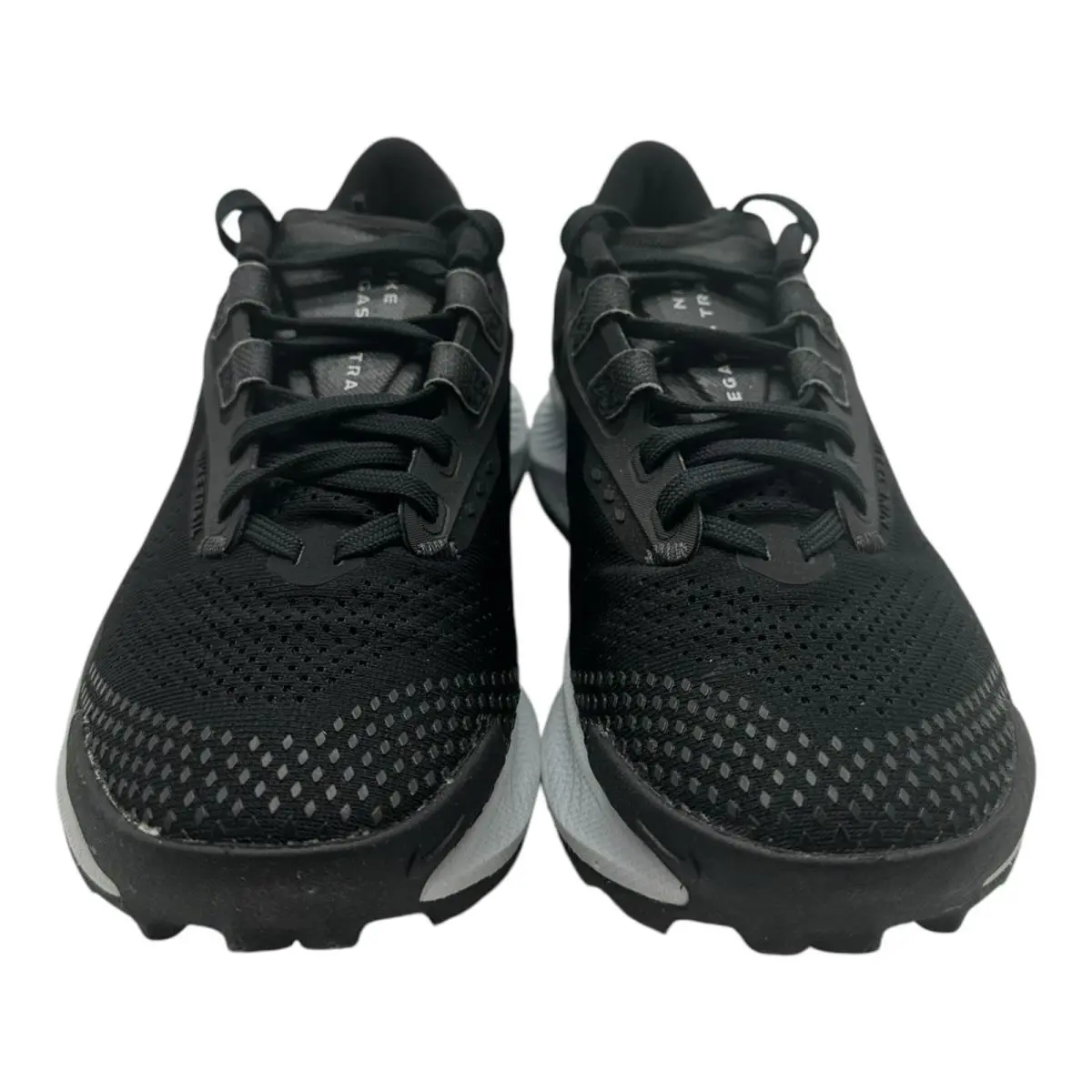 Nike shoes - Nike Pegasus - Pegasus - DA8698-001 - Black 2