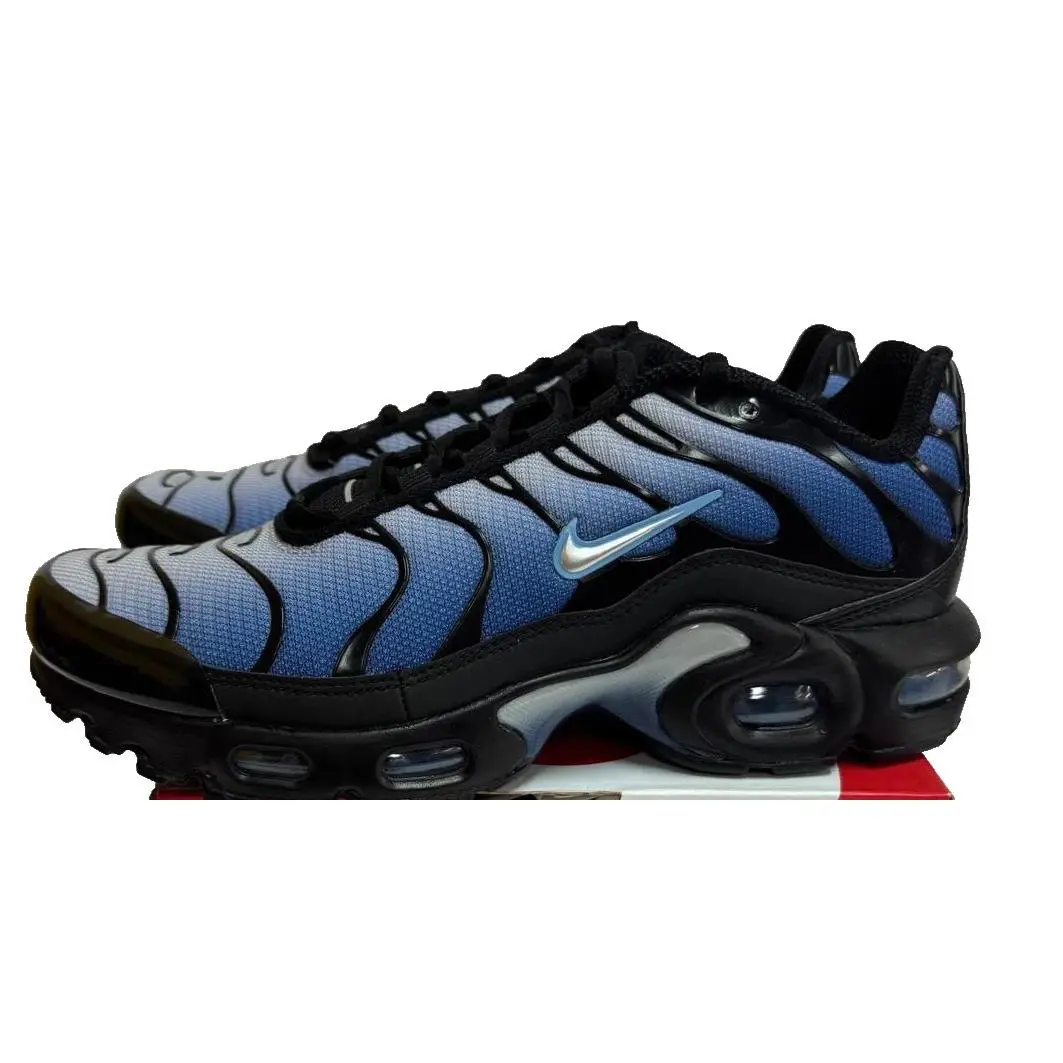 Nike shoes - Nike Air Max Plus TN - Blue 5