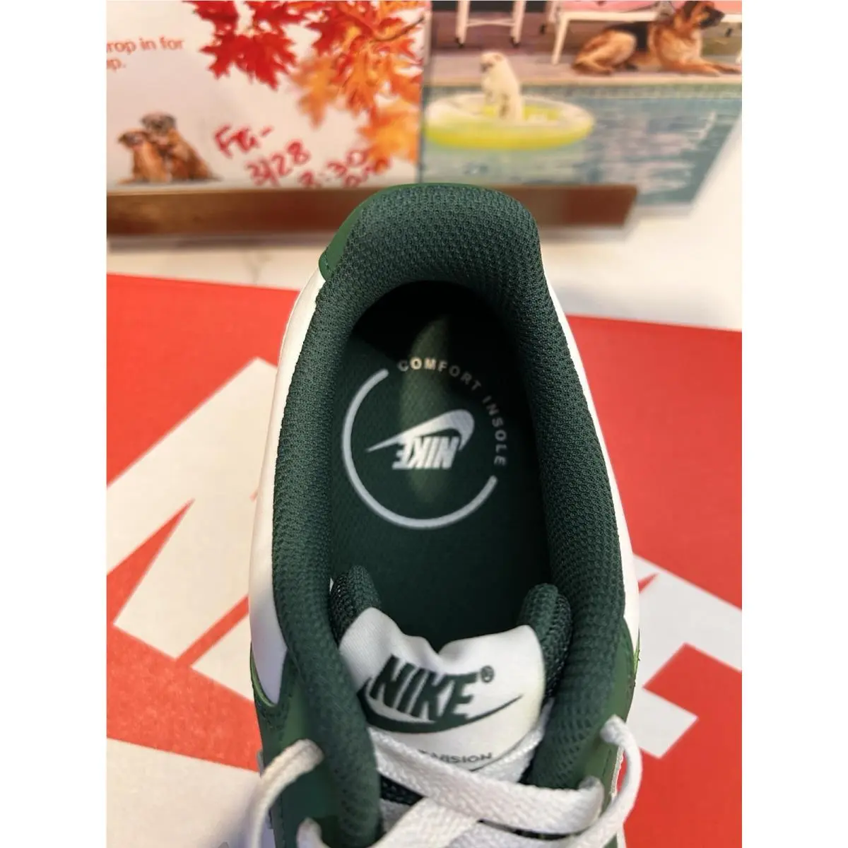 Nike shoes - Nike Court Vision - Court Vision - DH3158-300 - Green, Manufacturer: Vintage Green/White 2