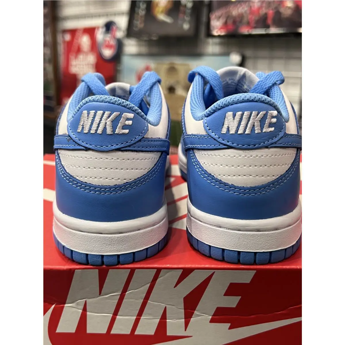 Nike shoes - Nike Dunk Low - Dunk Low - Blue 2