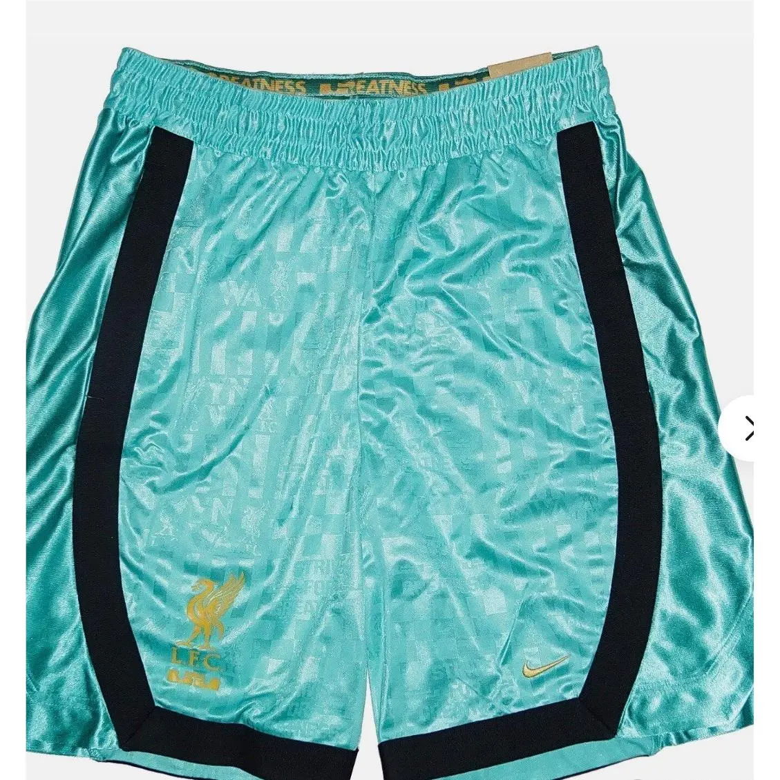 Nike Dnalebron x Liverpool FC Dri-fit Dna 8 Basketball Shorts FN3012-392 Size S