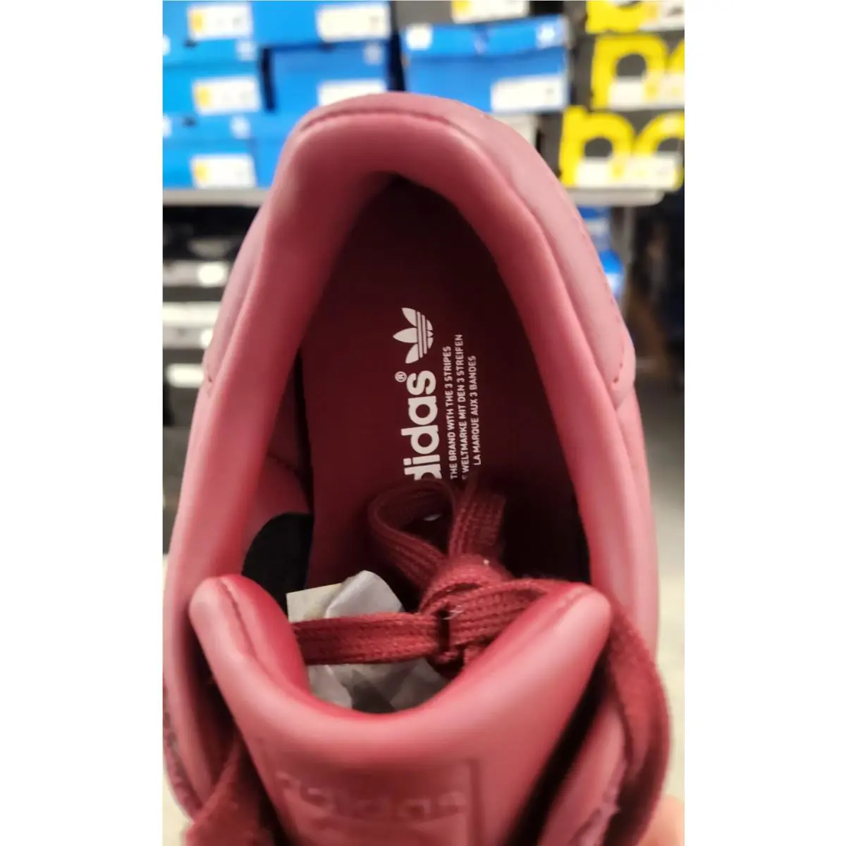 Adidas shoes - adidas Superstar - Superstar - BZ0644 - Red 5