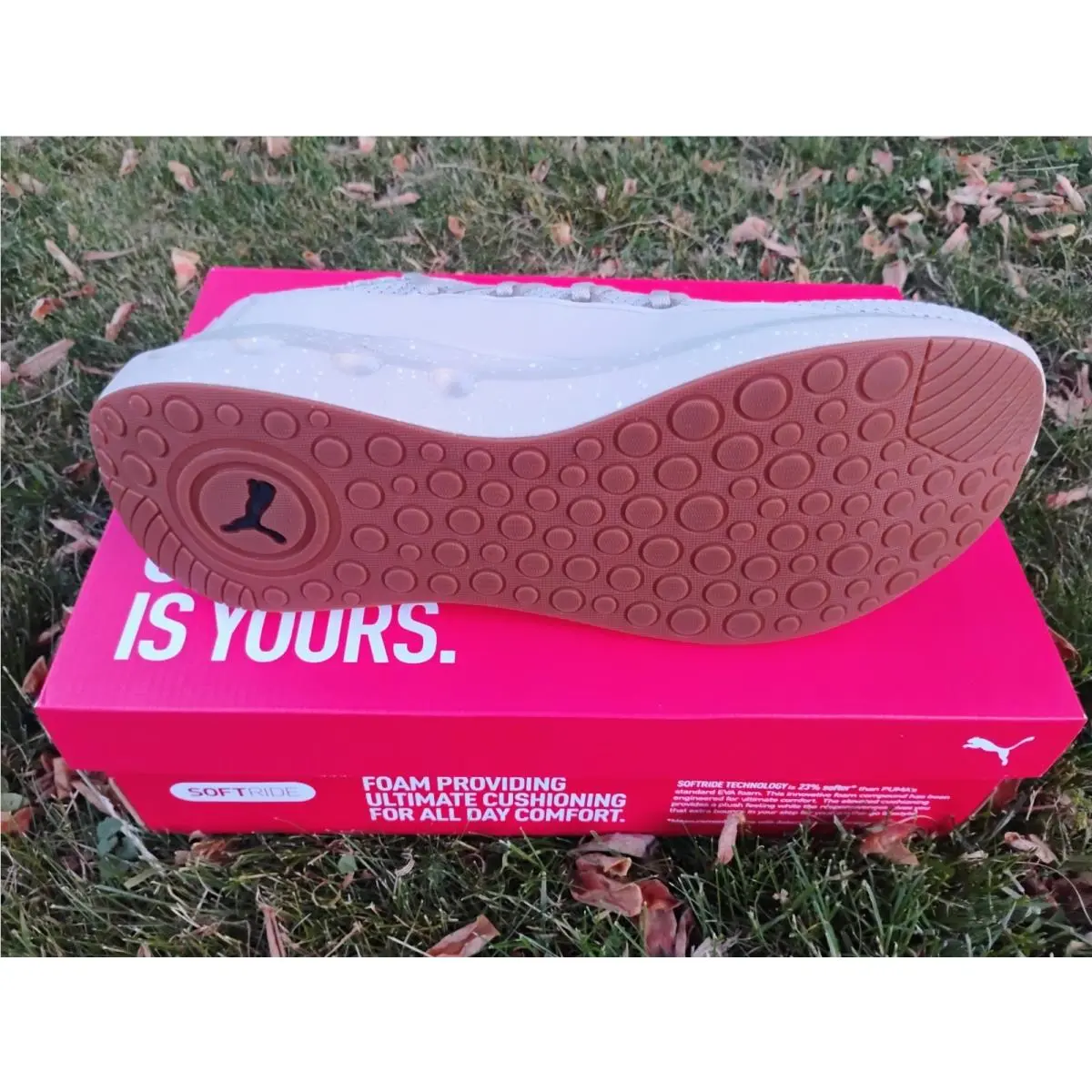 Puma shoes - PUMA Softride Carson - Softride Carson - 311255-02 - Desert Dust/Gum (UPC: 197671956016) 12
