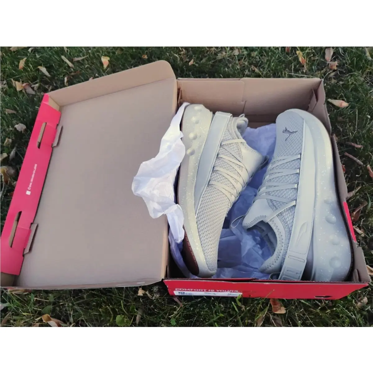 Puma shoes - PUMA Softride Carson - Softride Carson - 311255-02 - Desert Dust/Gum (UPC: 197671956016) 17