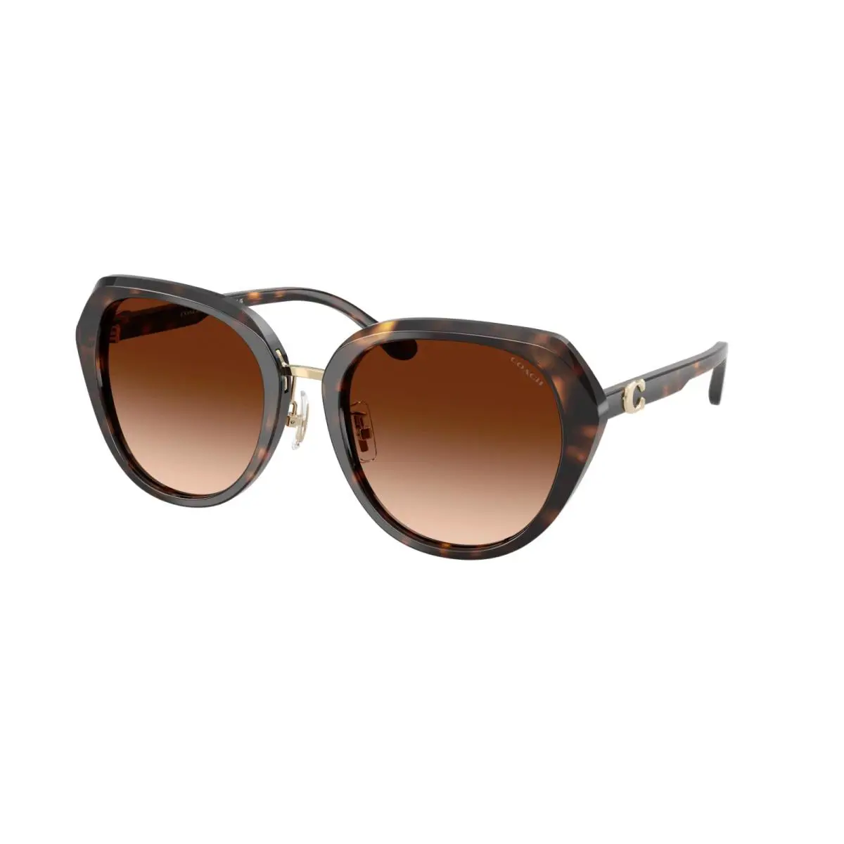 Coach HC8436 512074 Dark Tortoise Brown 55mm Sunglasses / /