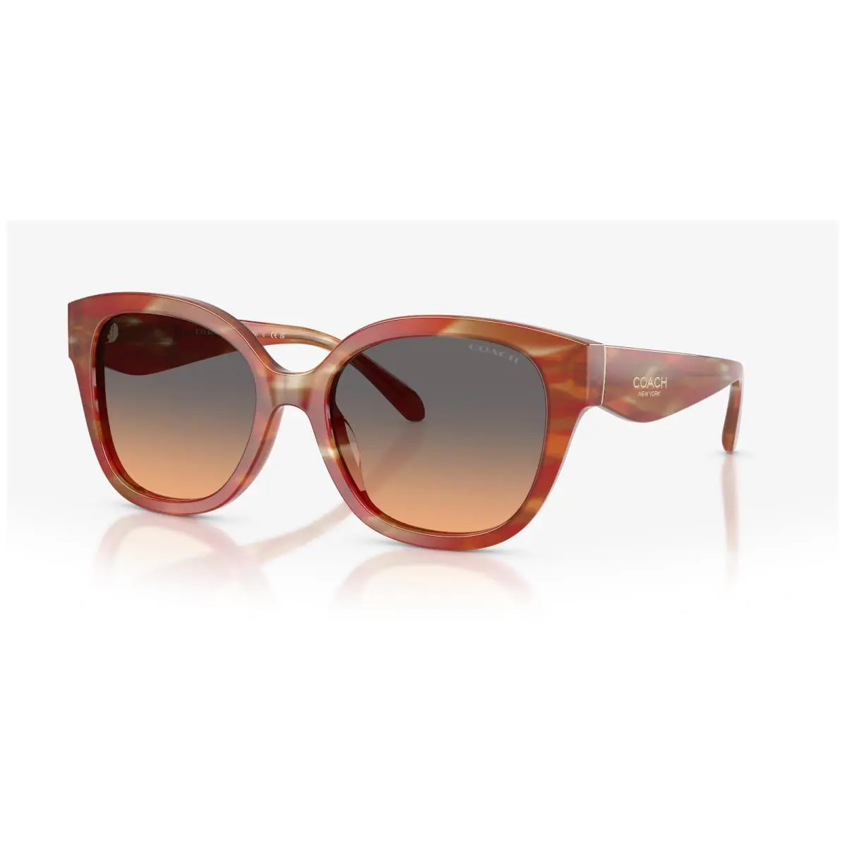 Coach HC8438U 590018 Striated Chestnut 56mm Sunglasses / /