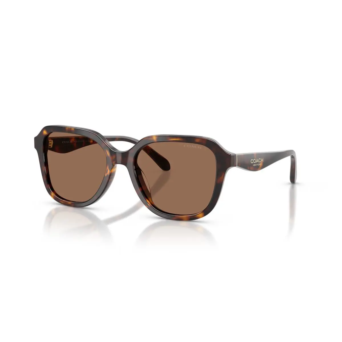 Coach HC8437F 512073 Dark Tortoise Brown 56mm Sunglasses / /