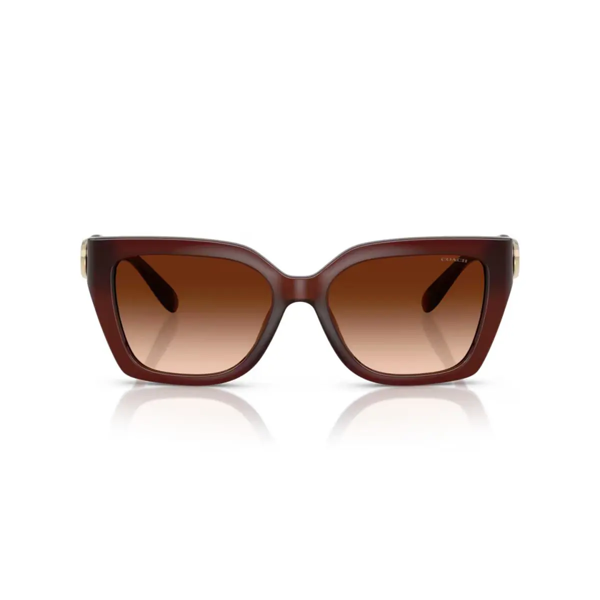 Coach HC8408F CW202 Sunglasses
