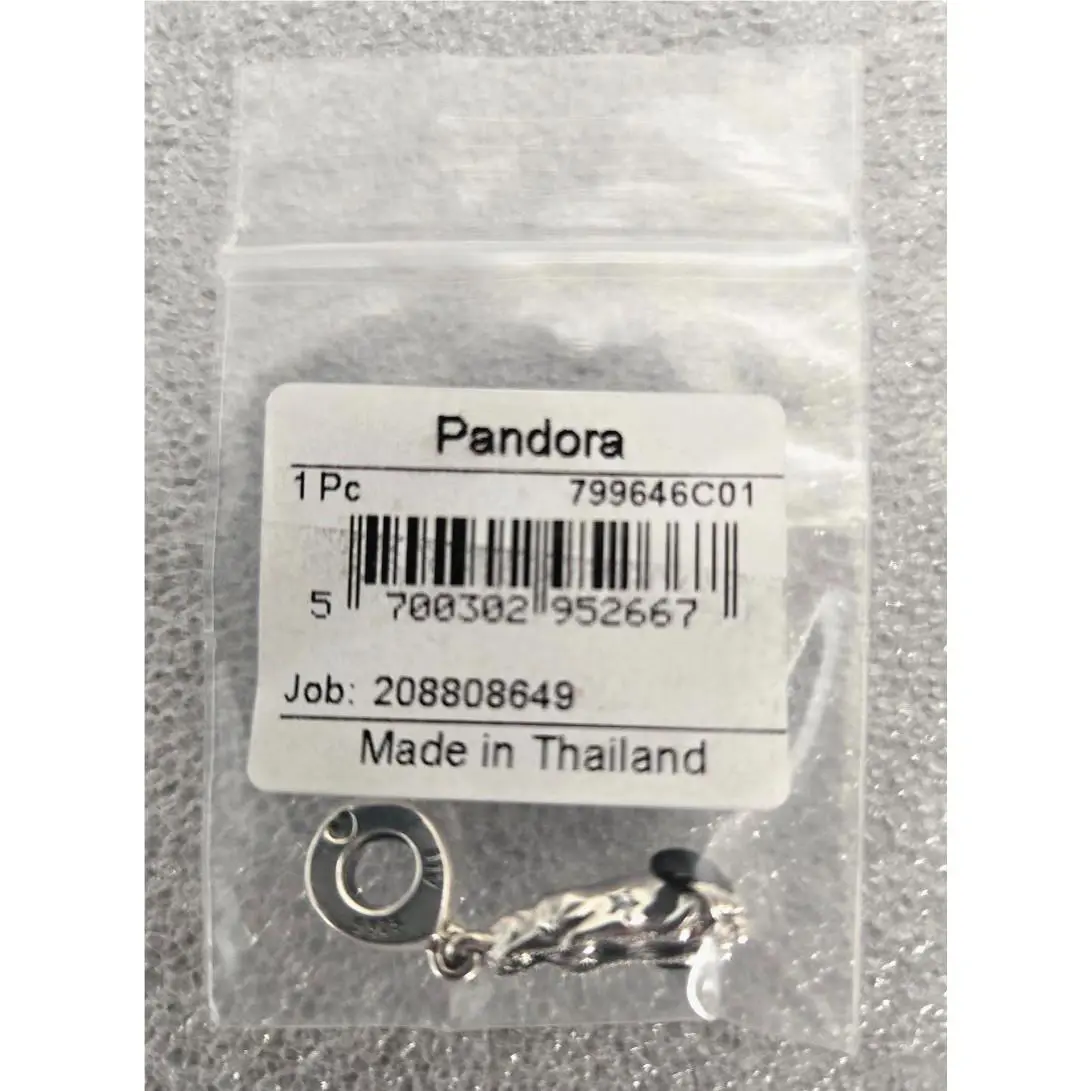Pandora 799646C01 Virgin of Guadalupe Motif Enamel Zirconia Silver Dangle Charm