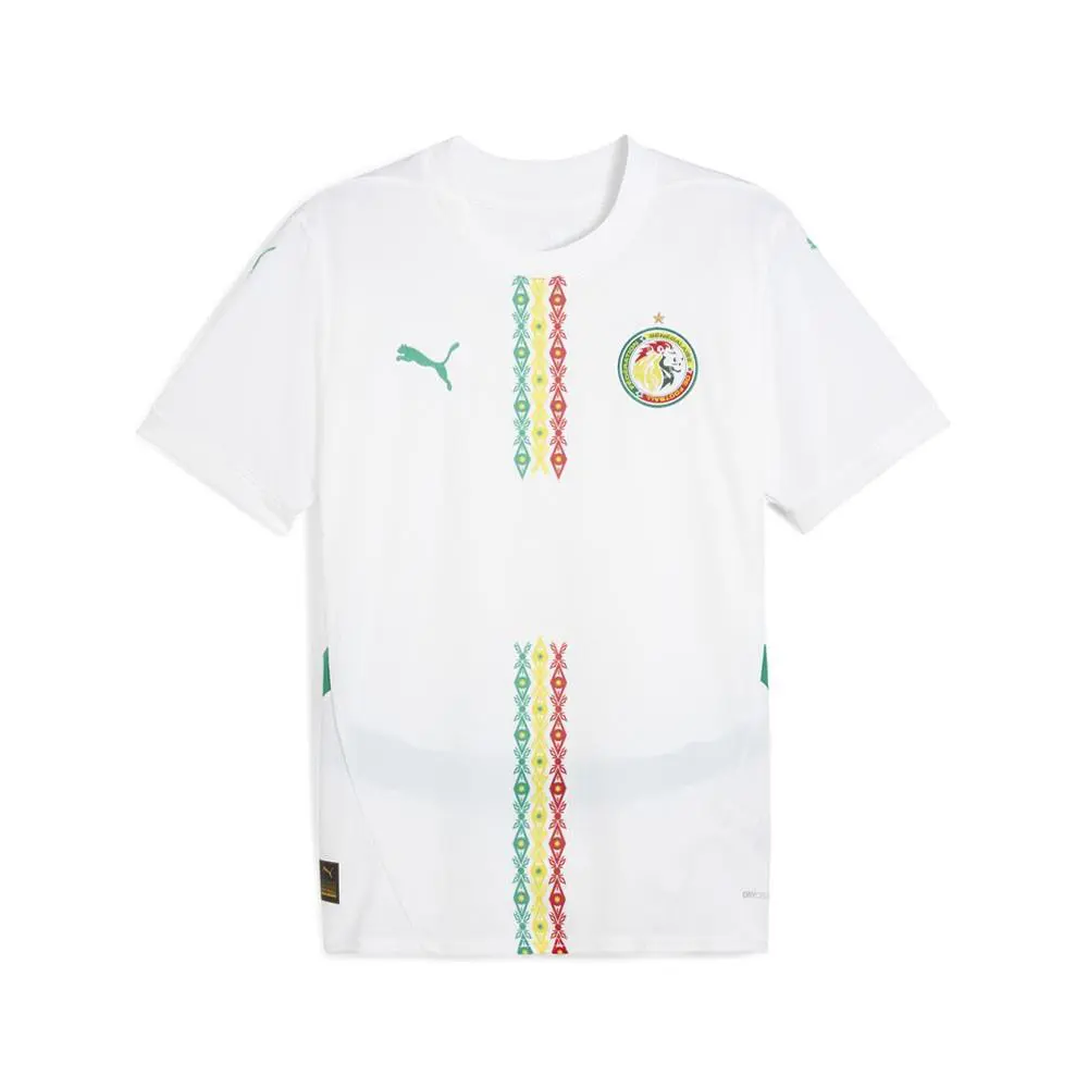 Puma Fsf Home Crew Neck Short Sleeve Soccer Jersey Mens White 77716101