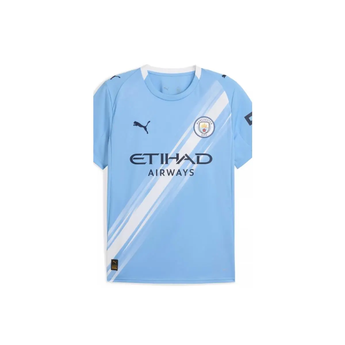 Manchester City 2025 Puma Dry Cell Match Jersey Mens XL
