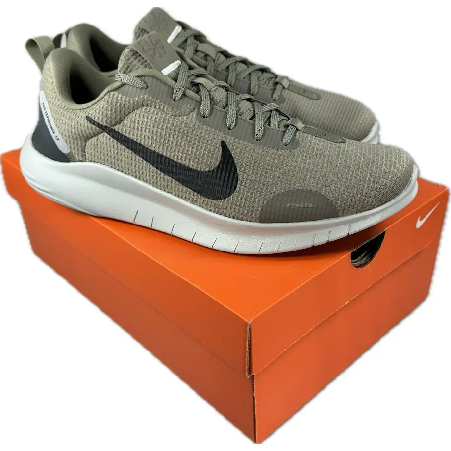 Nike shoes - Nike Flex Experience Run 12 - DV0740-300 - LIGHT ARMY/ANTHRACITE 0