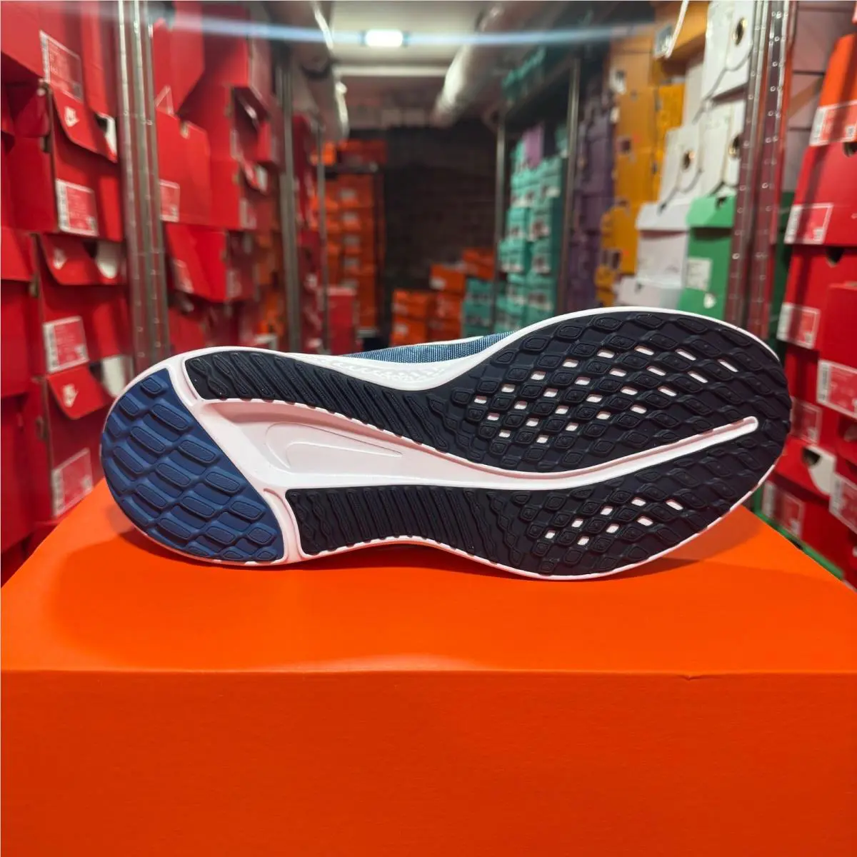 Nike shoes - Nike Quest 5 - Quest - DD0204400 - Blue 9