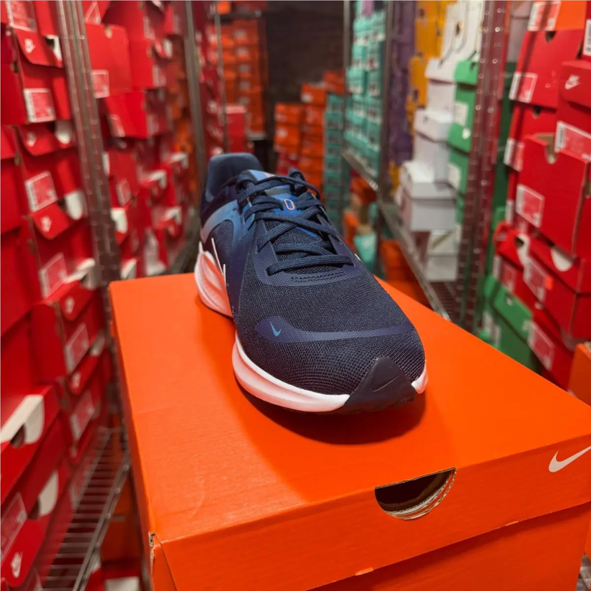 Nike shoes - Nike Quest 5 - Quest - DD0204400 - Blue 7