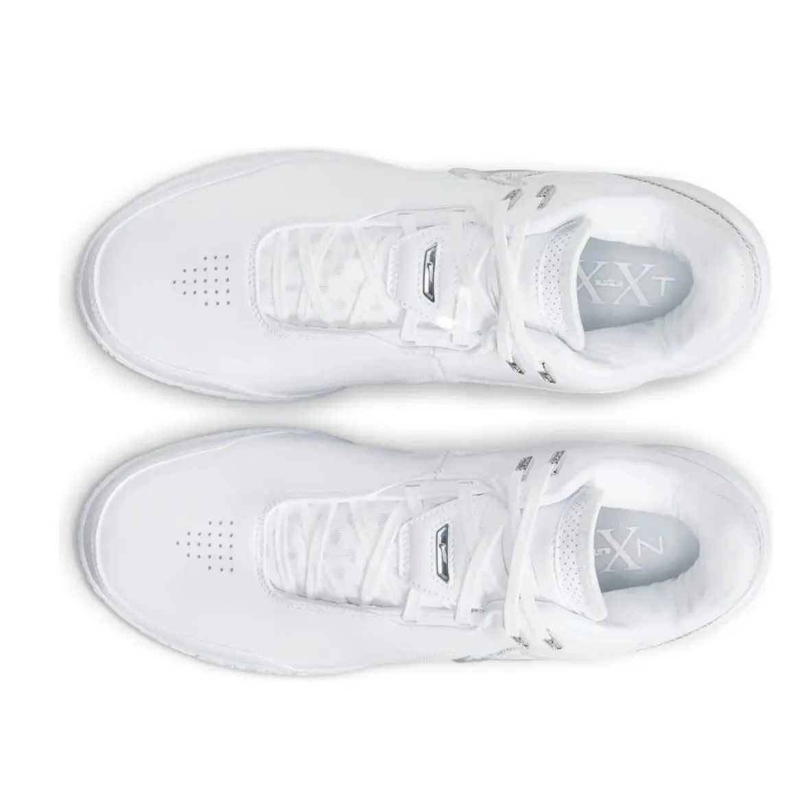 Nike shoes - Nike Zoom LeBron NXXT Gen AMPD - FJ1566 102 - White, Light Smoke Grey, Silver 4
