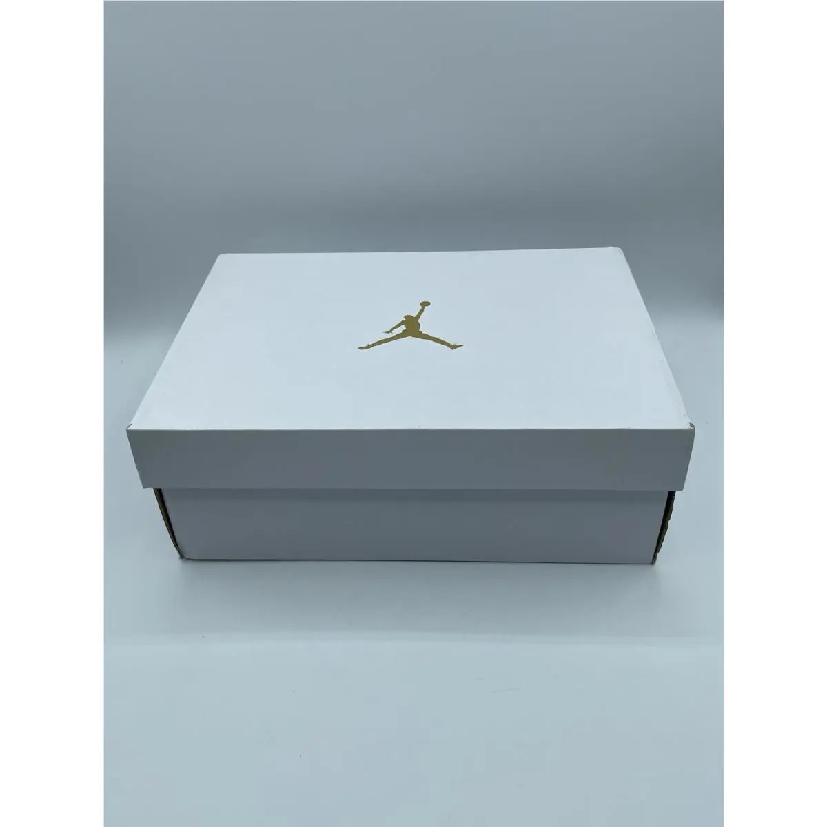 Nike shoes - Air Jordan 1 - Air - DV1299104 - Multicolor, Manufacturer: Dark Powder Blue, Ice Blue, Sail 10