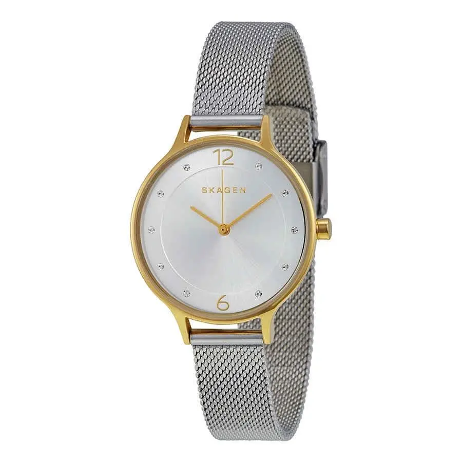 Skagen Anita Silver Dial Ladies Watch SKW2340