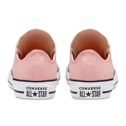 Converse shoes - Converse Chuck Taylor All Star Slip On - Storm Pink 1