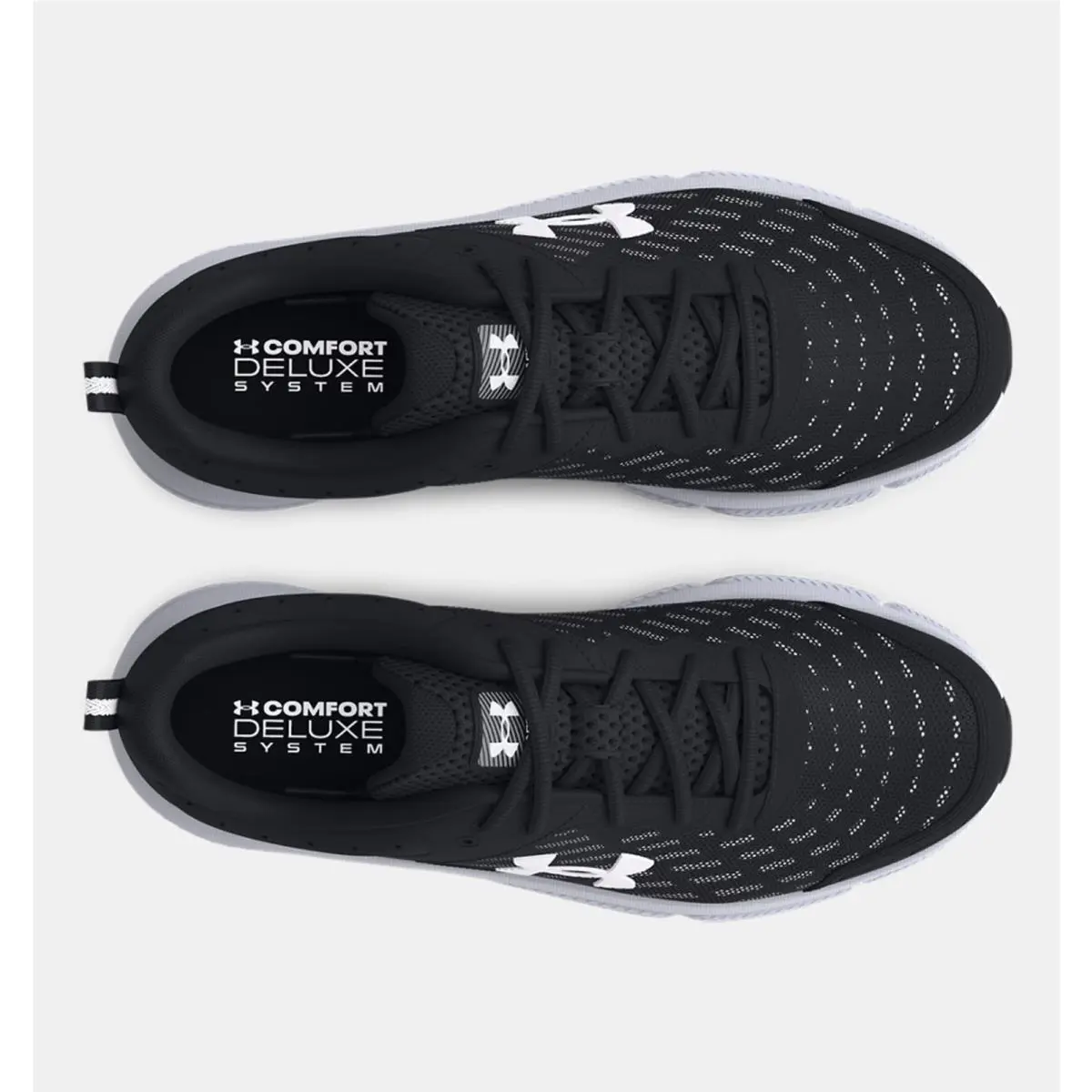 Under Armour shoes - Under Armour Charged Assert 10 - Black 1
