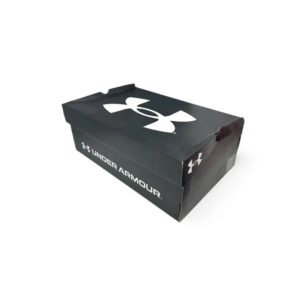Under Armour shoes - Under Armour Charged Assert 10 - Purple (UPC: 196885755576) 4