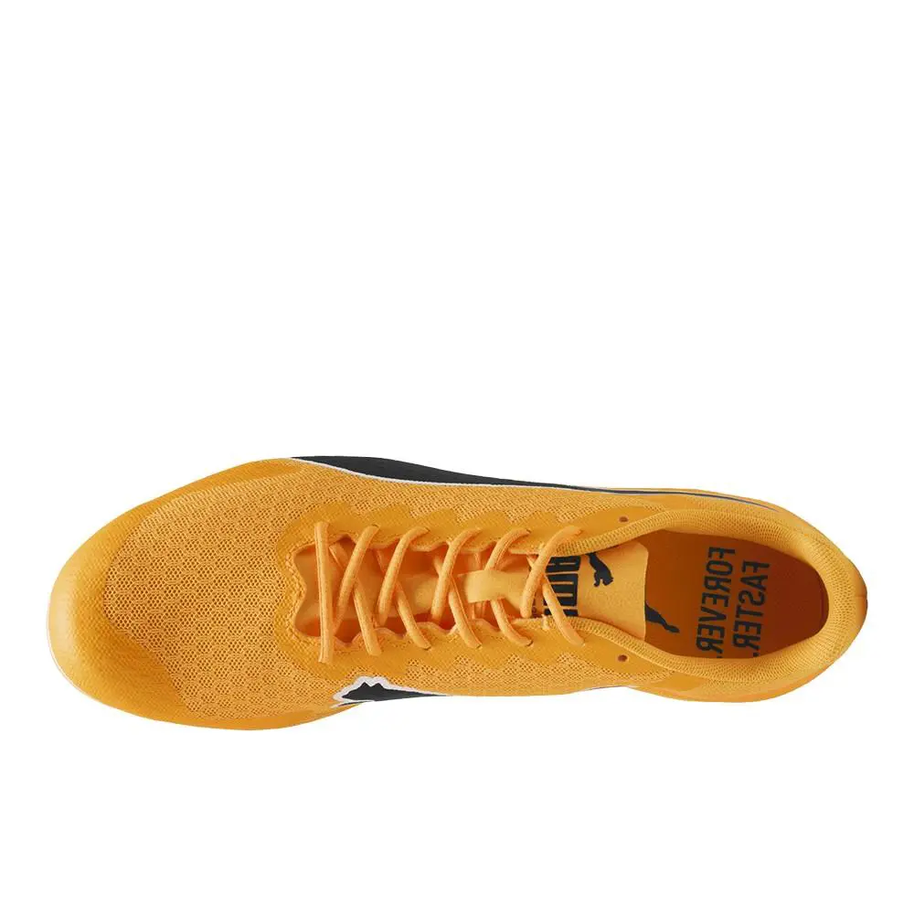 Puma shoes - PUMA Evospeed Star 9 Track  Field Sprinting Spikes - 31137903 - Orange 2