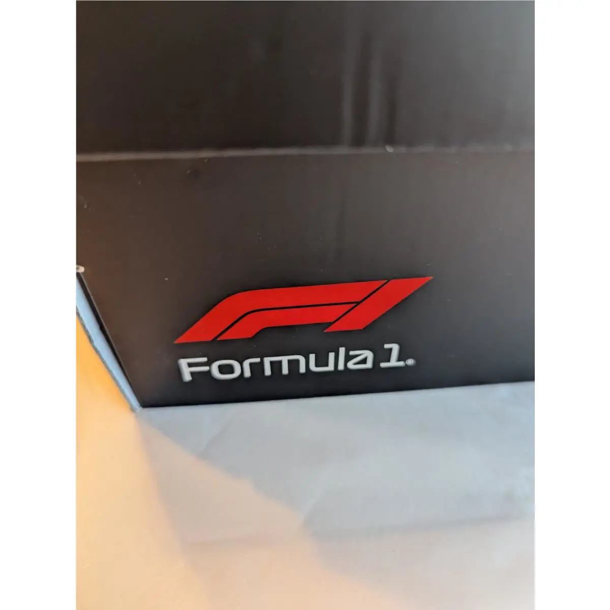 Puma shoes - Formula 1 CA Pro - Formula Pro - White 14