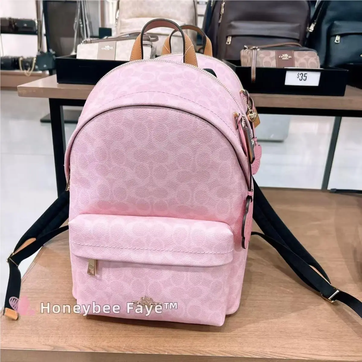 Coach Taylor Small Backpack In Signature Canvas CDW76/CDW78/CEF46/CEF27