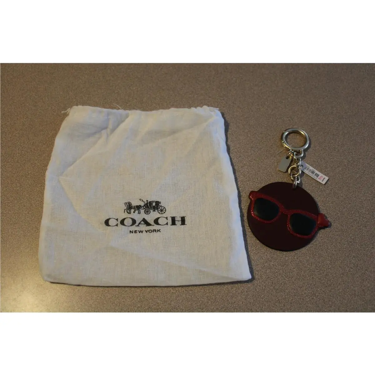 Coach Leather Keyring Shady Bag F16223 W/dust Protector