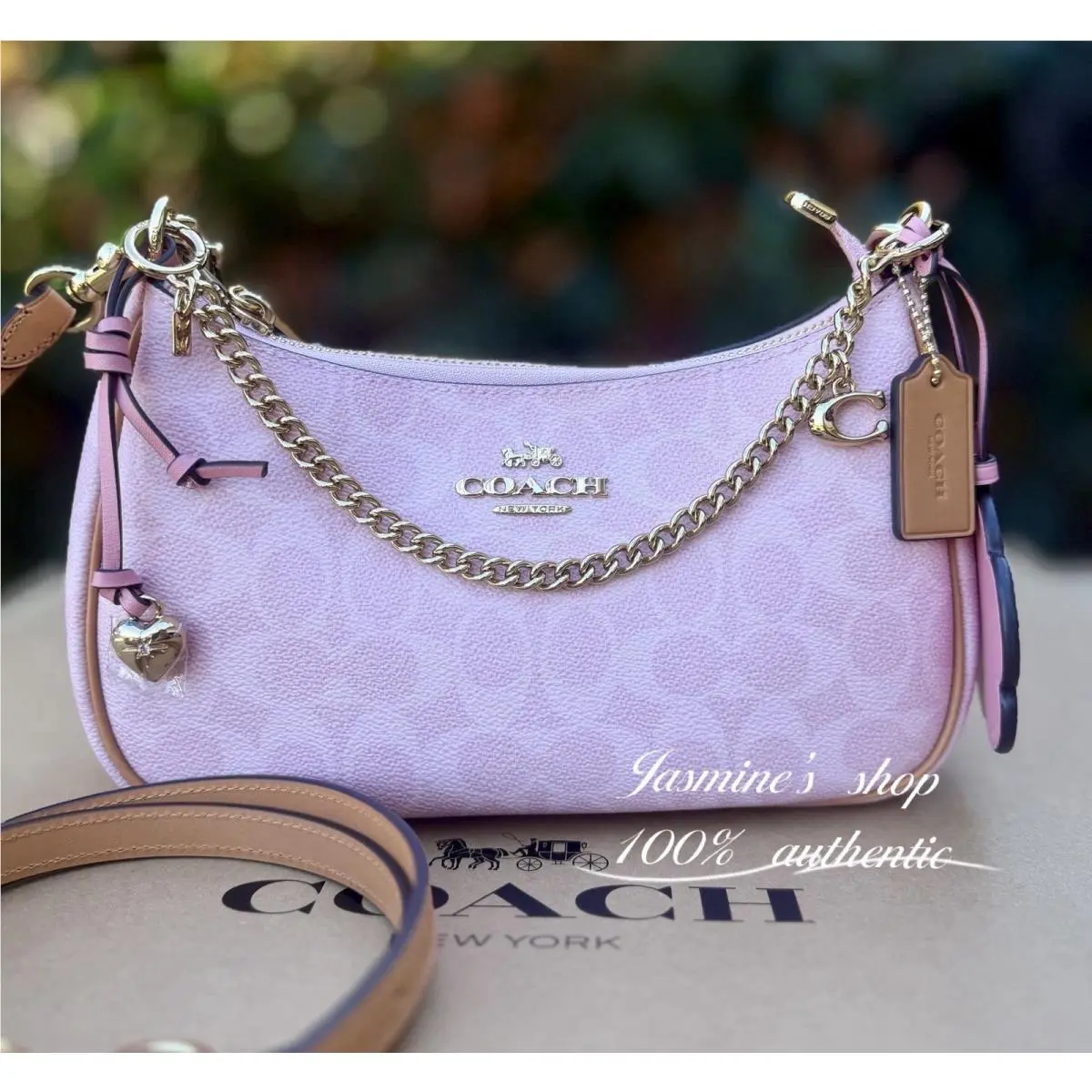 Gold Powder Pink Teri Shoulder Bag Signature with Charms CEA20 by Coach