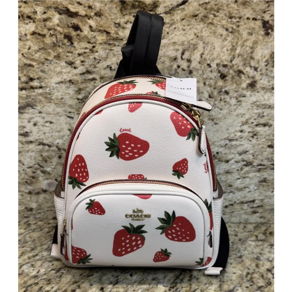 Coach Mini Court Backpack CH328 Wild Strawberry Print Leather Small Women’s Bag