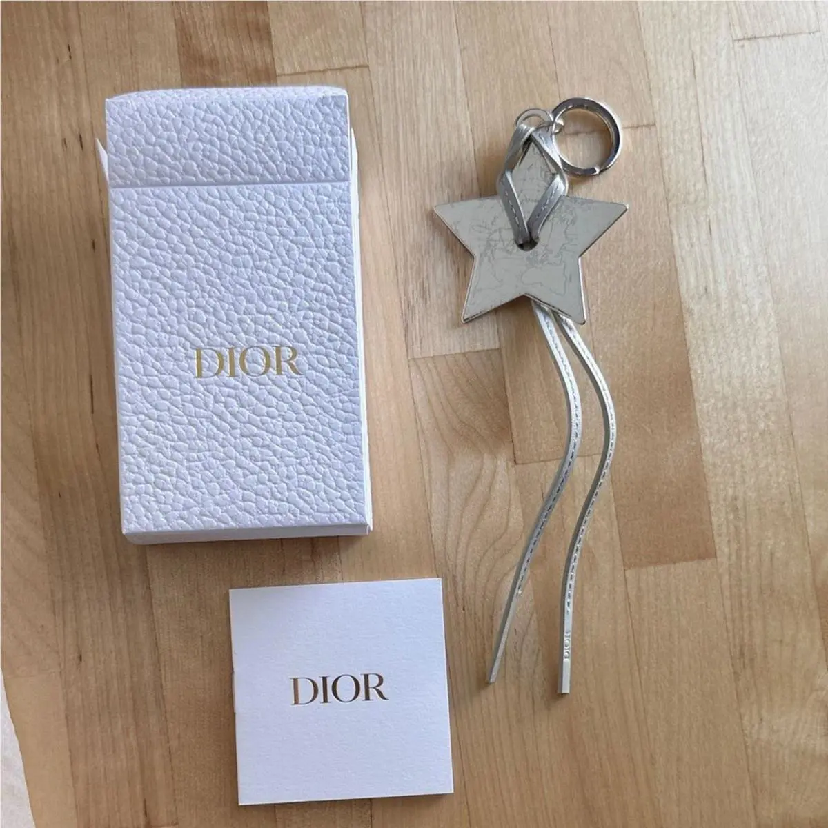 Dior Silver Star Keychain Bag Charm w/ Logo Gray Leather Tassel