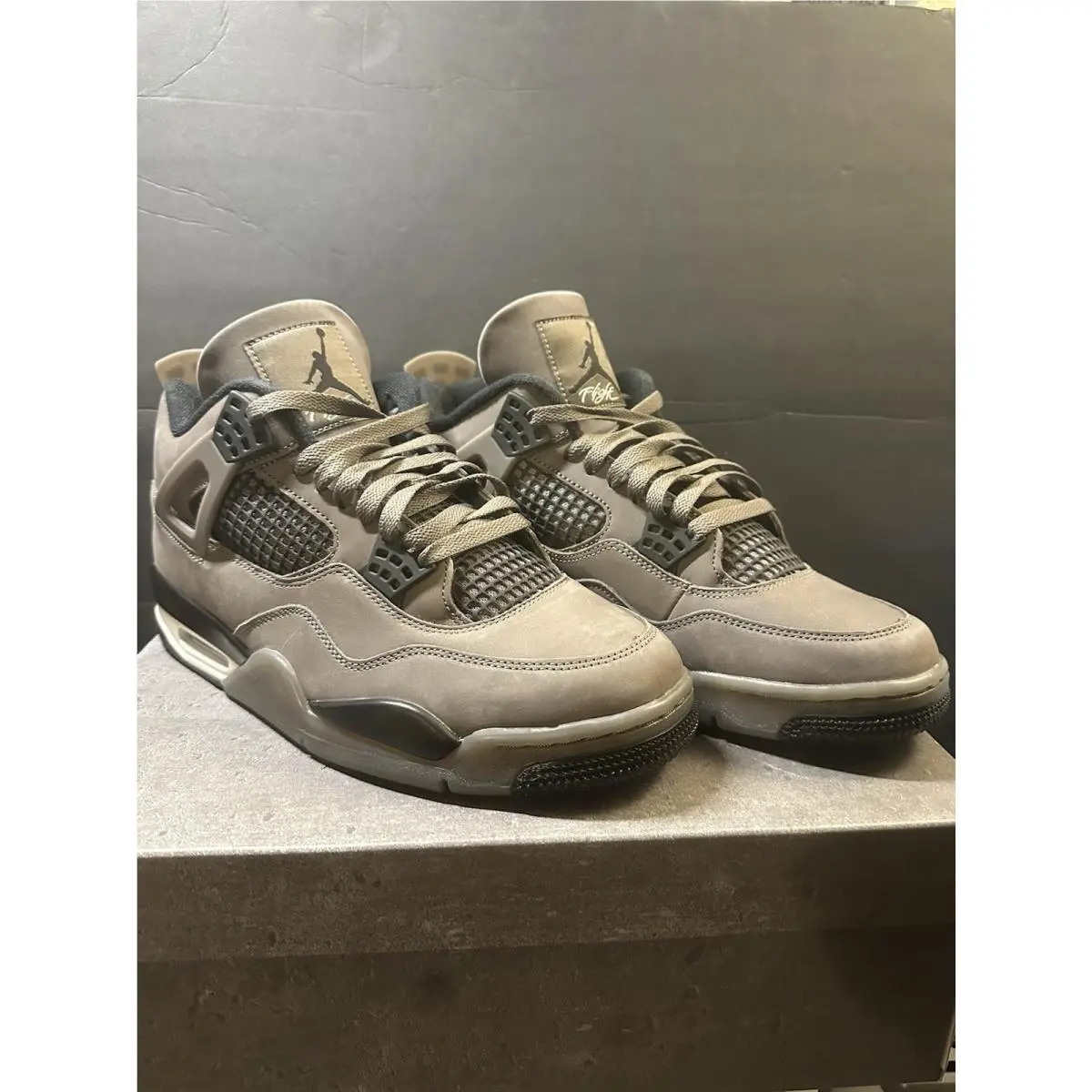 Nike shoes - Air Jordan 4 - Air - FV5029-200 - Multicolor 0