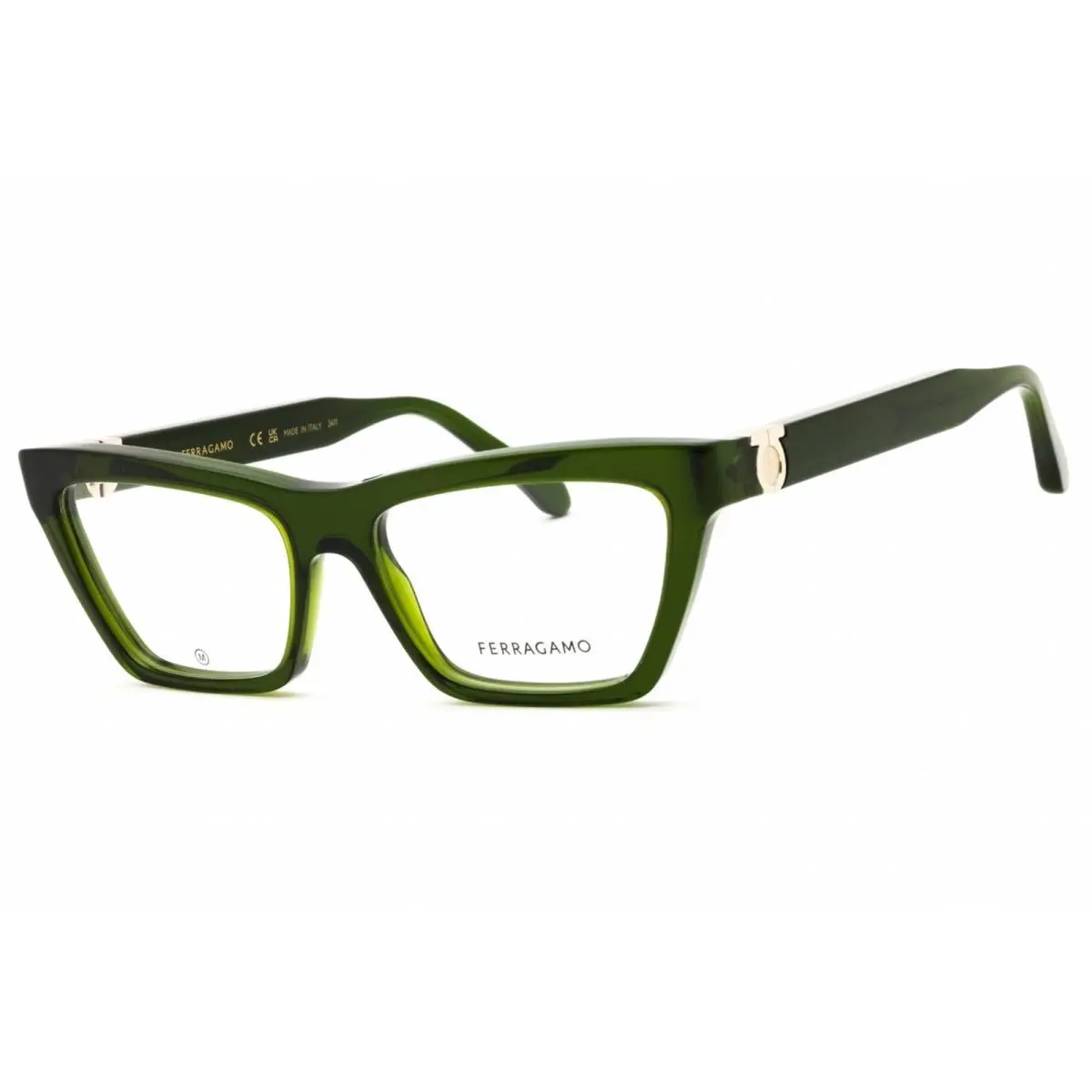 Salvatore Ferragamo Unisex Eyeglasses Transparent Green Acetate Frame SF3021 317