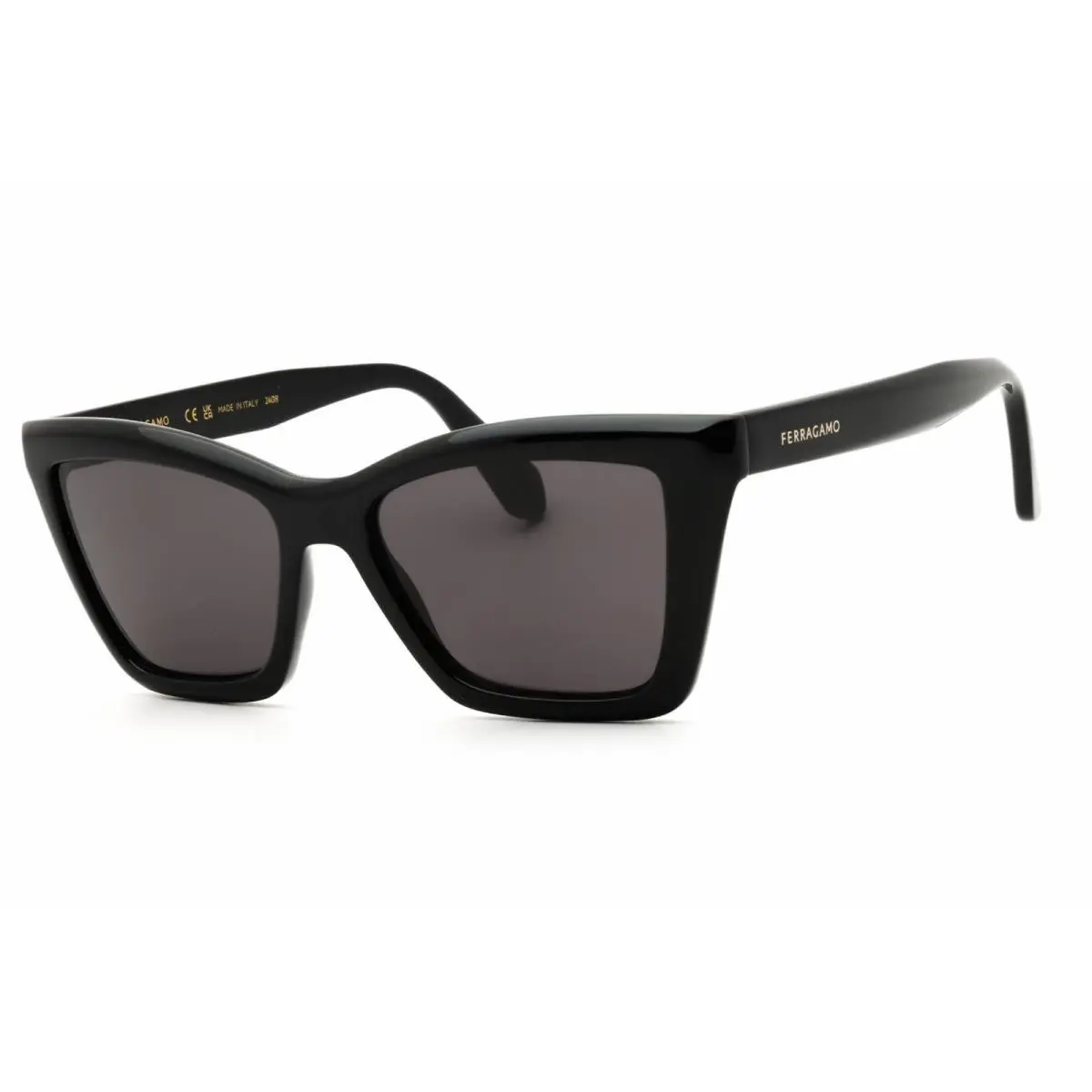 Salvatore Ferragamo Women`s Sunglasses Black Acetate Full Rim Frame SF2039SE 001