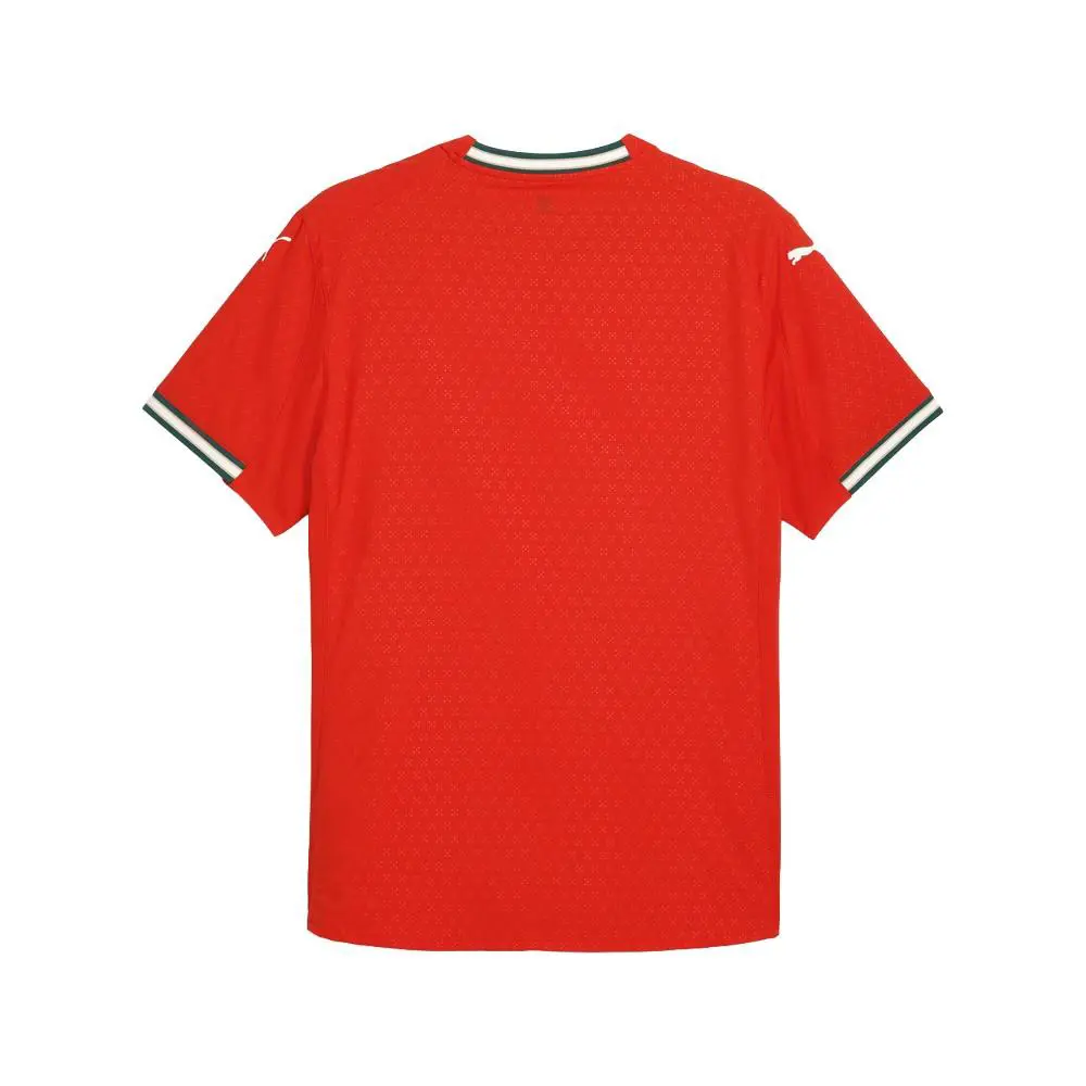 Puma clothing - PUMA Portugal `25 Home Authentic Crew Neck Short Sleeve Replica J - 78076601 - Red 7