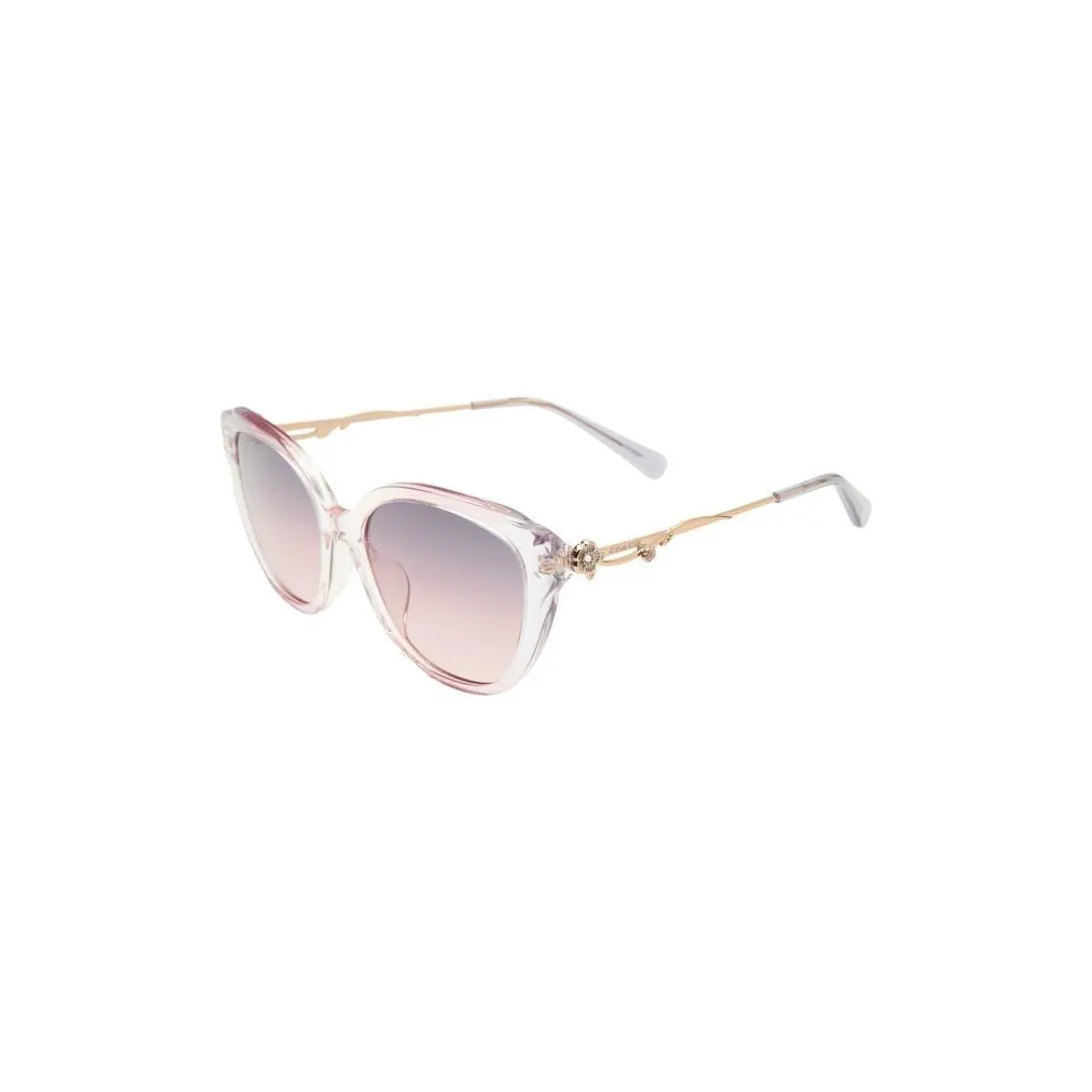 Coach Women 55mm Cat Eye Sunglasses Violet